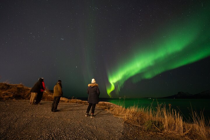 Northern Lights Tours Bodo Norway
