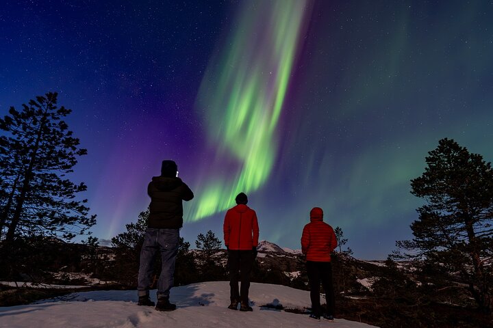 Northern Lights Tours Bodo Norway