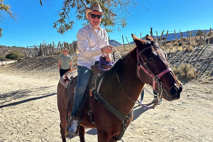 Horseback Ride Joshua Tree Forest Buffalo Lunch Singing Cowboy