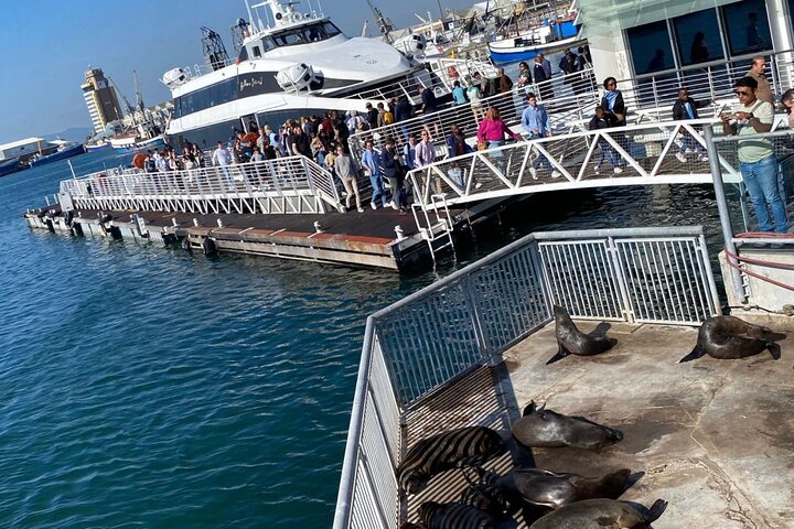 Robben Island Tour from Cape Town: Pre-Booked Ticket & Transfers