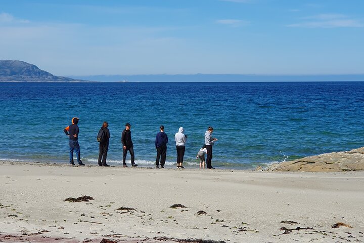 Mjelle Beach - Easy Day Hike to Bodos no 1 Beach, Northern Norway