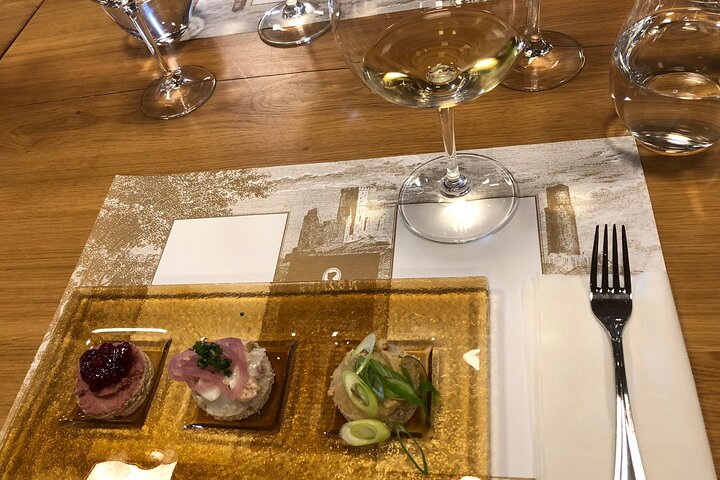 Private Bohemia Wine Tour from Prague with Gourmet Tastings