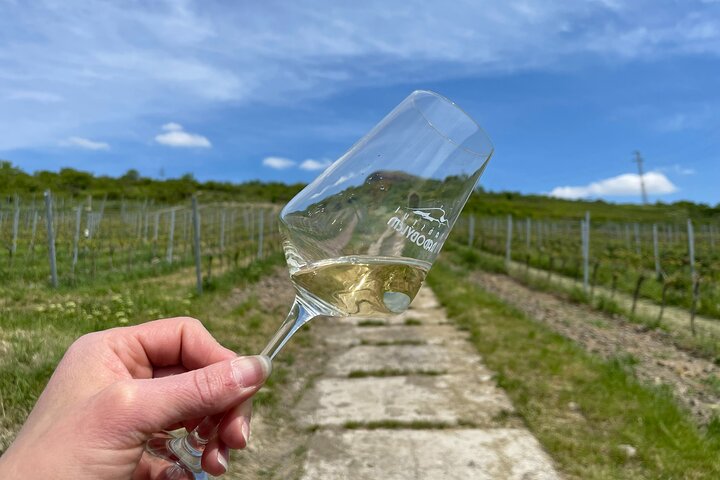 Private Bohemia Wine Tour from Prague with Gourmet Tastings