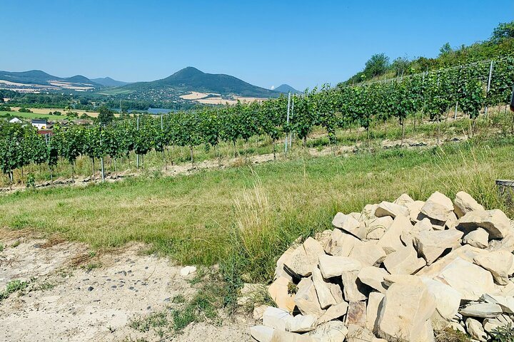 Private Bohemia Wine Tour from Prague with Gourmet Tastings