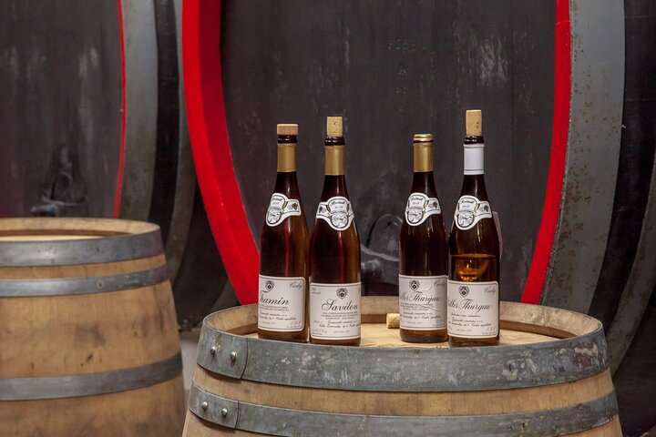 Private Bohemia Wine Tour from Prague with Gourmet Tastings