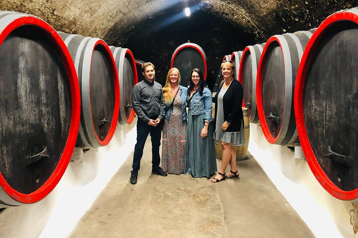 Private Bohemia Wine Tour from Prague with Gourmet Tastings