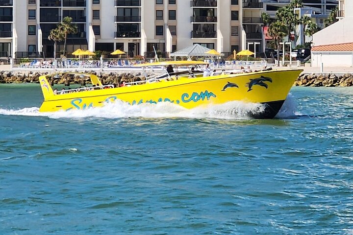 Sea Screamer Clearwater's Only Speed Boat Dolphin Watching