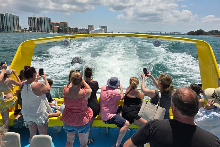 Sea Screamer Clearwater's Only Speed Boat Dolphin Watching