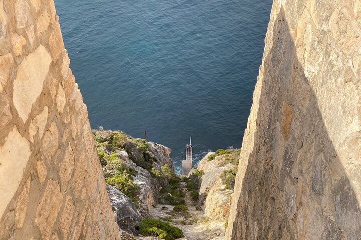 One Day Kangaroo Island Highlights Tour