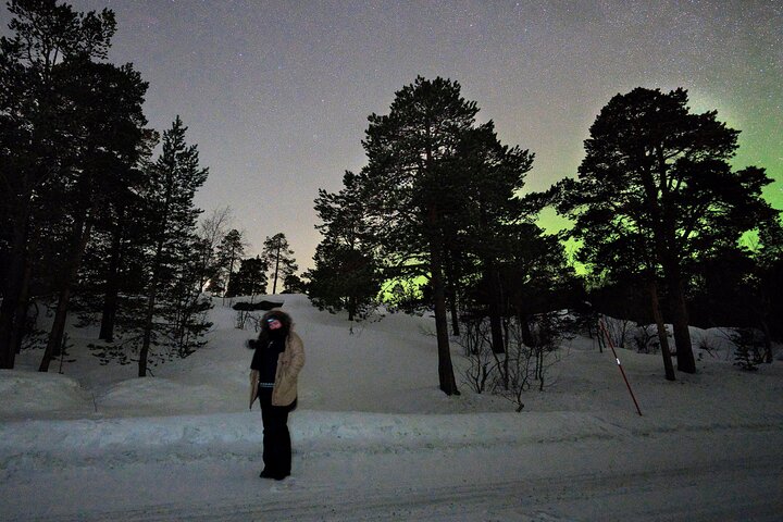 Northern Lights Tours Bodo Norway