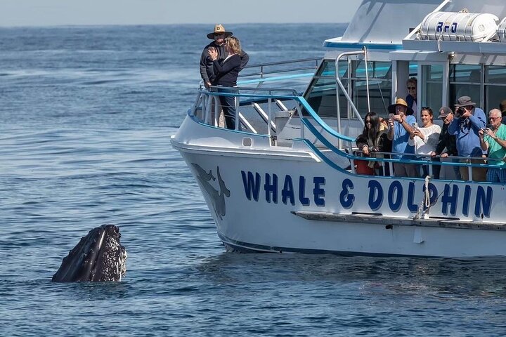 Newcastle to Port Stephens: Whale Watching, Hike & Dunes