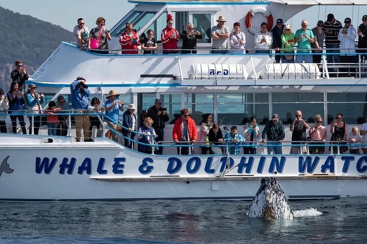 Newcastle to Port Stephens: Whale Watching, Hike & Dunes