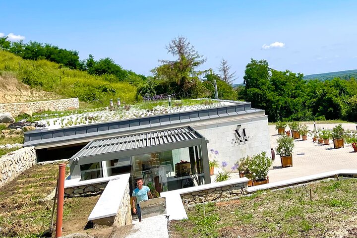 Day Boat trip and City Tour in Tokaj Hungary with Wine Tasting