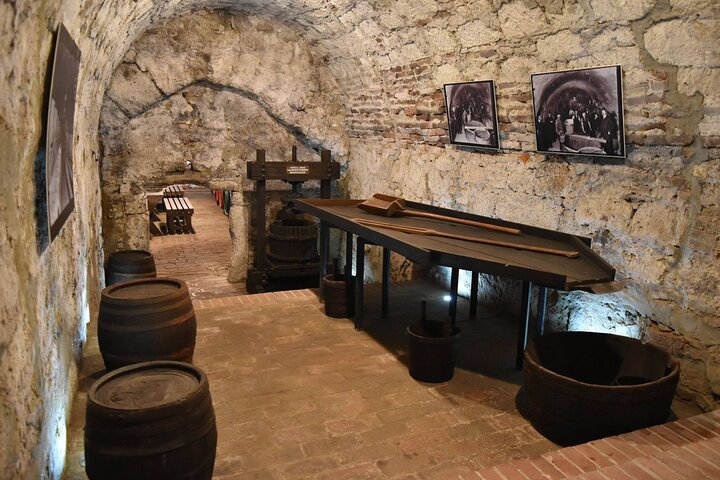 Day Boat trip and City Tour in Tokaj Hungary with Wine Tasting