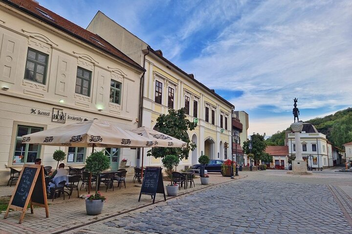 Day Boat trip and City Tour in Tokaj Hungary with Wine Tasting
