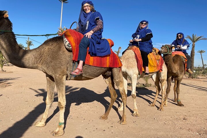 Marrakech from Casablanca with Horse carriage and Camel Ride