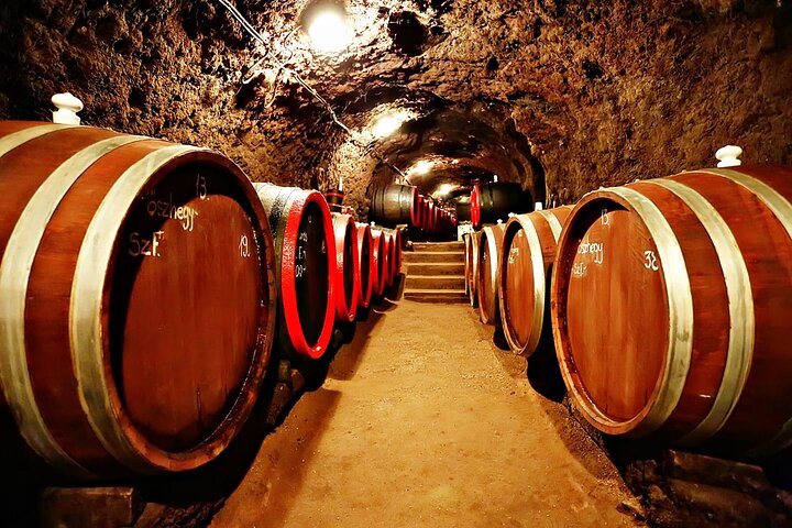 2 Days Tokaj Wine Tour in Mád Hungary with Meals