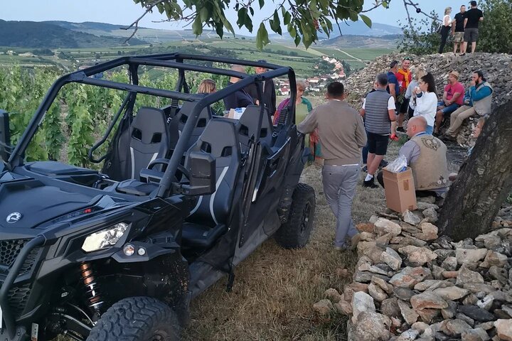 2 Days Tokaj Wine Tour in Mád Hungary with Meals