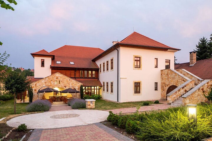 2 Days Tokaj Wine Tour in Mád Hungary with Meals