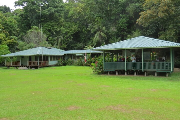 Pacheco Tours - Corcovado National Park San Pedrillo Station
