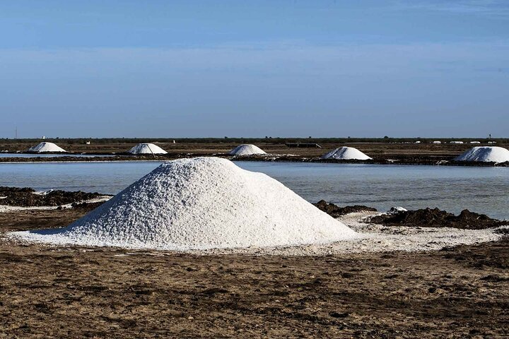 Bhuj, Rann of Kutch & Mandvi Beach: The Art, Craft & Nature Tour