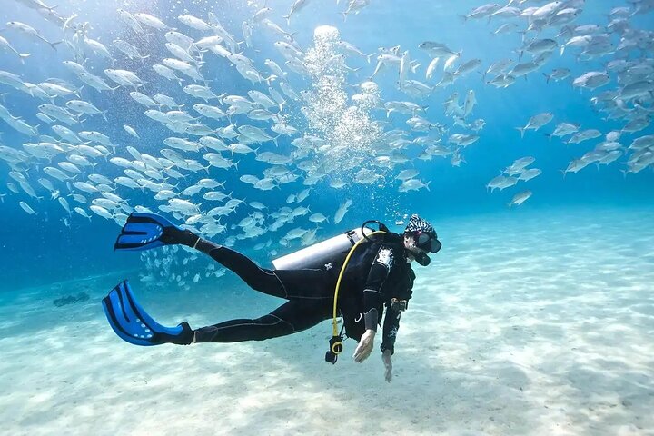 Alanya : Scuba Diving for Beginners w/ Lunch and Transfer