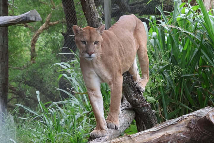 Wildlife rescue center in nature reserve near Santa Cruz