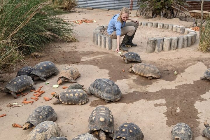 Wildlife rescue center in nature reserve near Santa Cruz