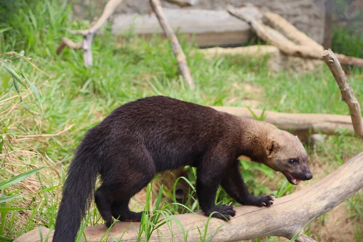Wildlife rescue center in nature reserve near Santa Cruz