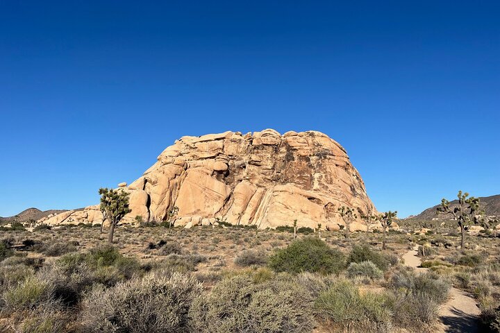 Private Sightseeing Adventure Tour of Joshua Tree National Park