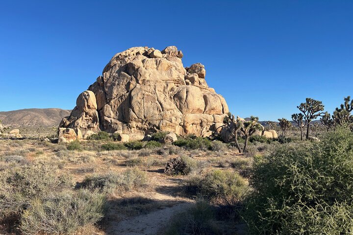 Private Sightseeing Adventure Tour of Joshua Tree National Park