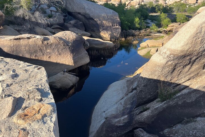 Private Sightseeing Adventure Tour of Joshua Tree National Park