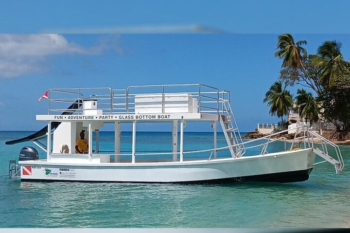 2 Hours Turtle Feeding, Shipwreck & Reef Snorkeling Tour Barbados