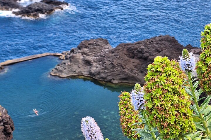 Private Madeira Island Tour: The Most Complete 8-Hour Experience