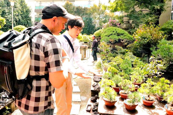 Bonsai Art Tour & Experience in Japan's Most Sacred "Bonsai City"