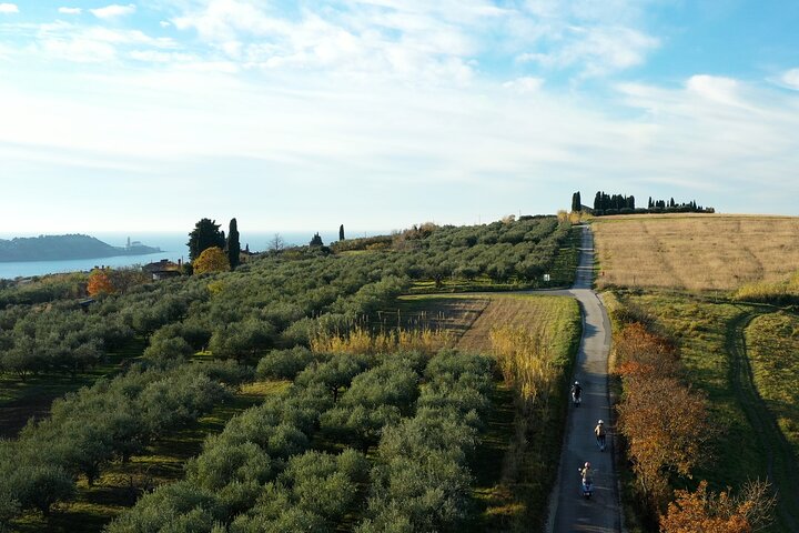 Half Day Vespa Countryside Tour and Tastings in Istria
