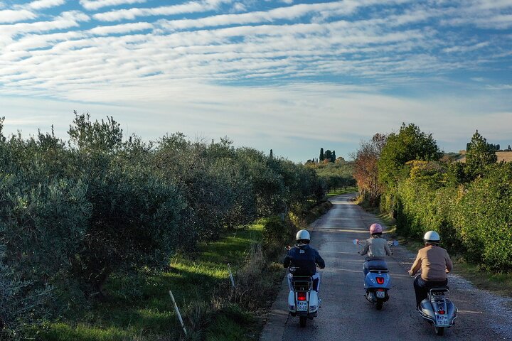 Half Day Vespa Countryside Tour and Tastings in Istria
