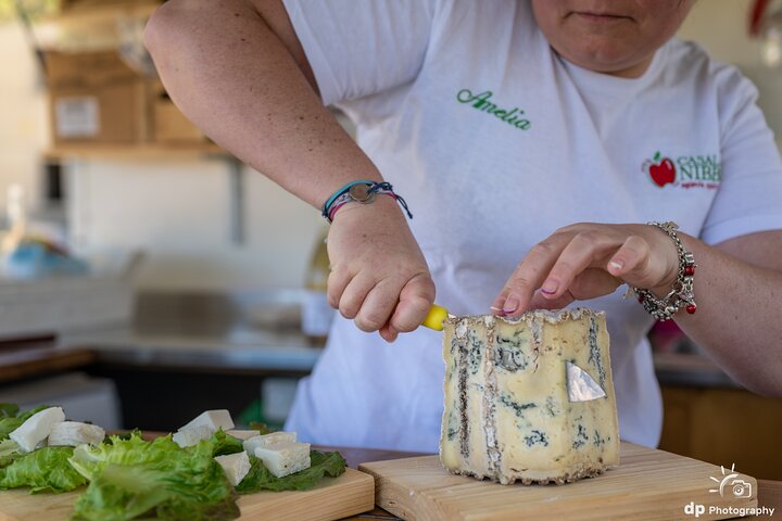 Private Cheese Tasting Experience in Amatrice