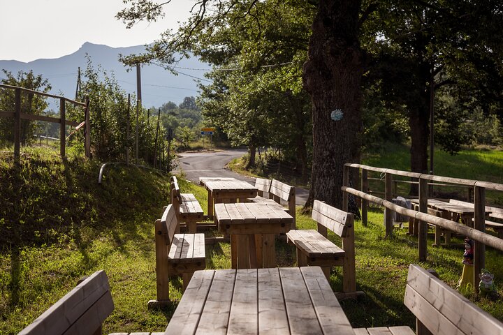 Private Cheese Tasting Experience in Amatrice