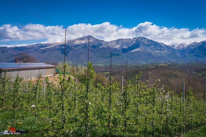 Private Cheese Tasting Experience in Amatrice