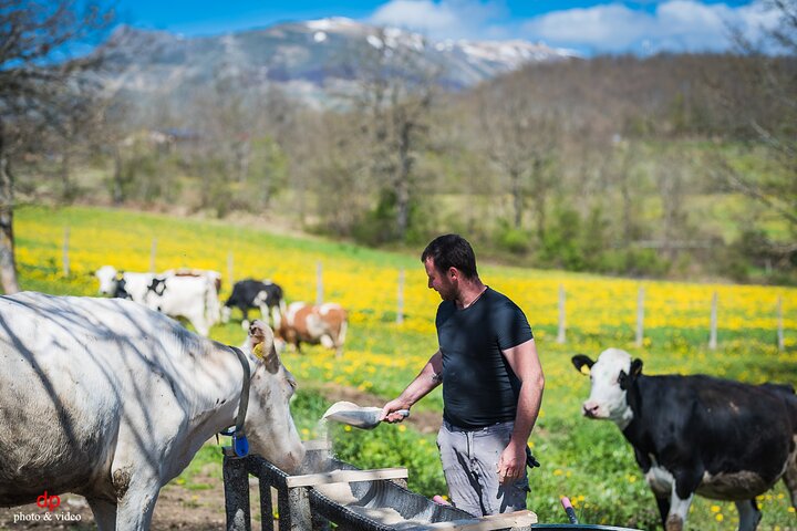 Private Cheese Tasting Experience in Amatrice