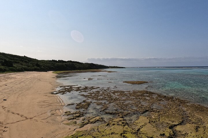 Okinawa Private Adventure Day: Beaches, Snorkeling & Waterfalls