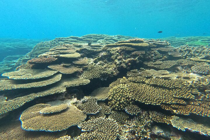 Okinawa Private Adventure Day: Beaches, Snorkeling & Waterfalls