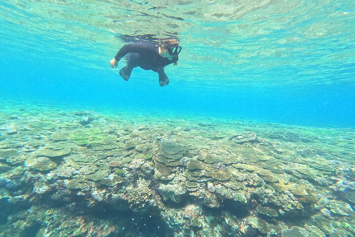 Okinawa Private Adventure Day: Beaches, Snorkeling & Waterfalls