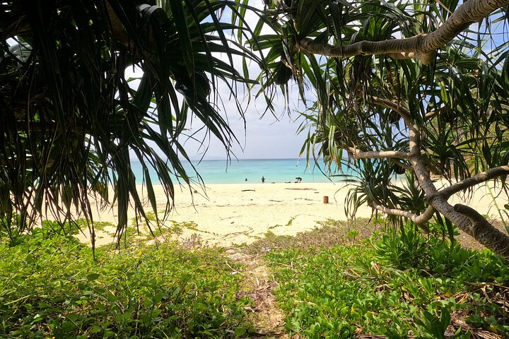 Okinawa Private Adventure Day: Beaches, Snorkeling & Waterfalls
