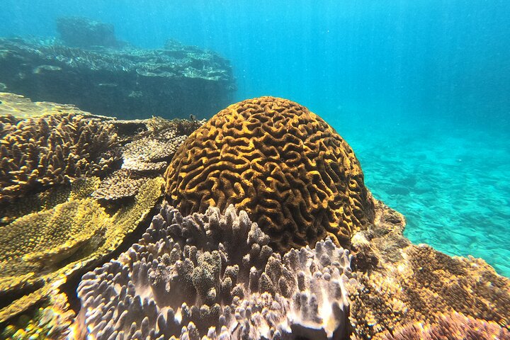 Okinawa Private Adventure Day: Beaches, Snorkeling & Waterfalls
