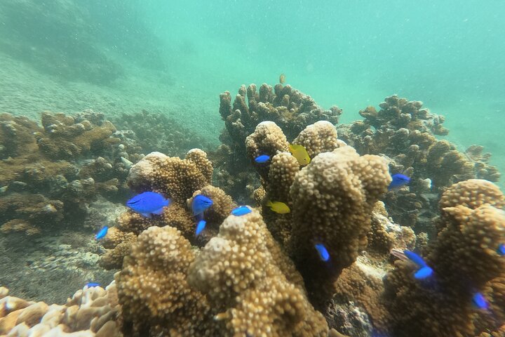 Okinawa Private Adventure Day: Beaches, Snorkeling & Waterfalls