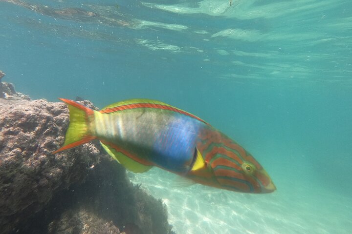 Okinawa Private Adventure Day: Beaches, Snorkeling & Waterfalls