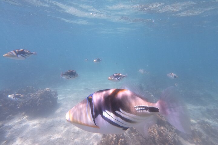 Okinawa Private Adventure Day: Beaches, Snorkeling & Waterfalls