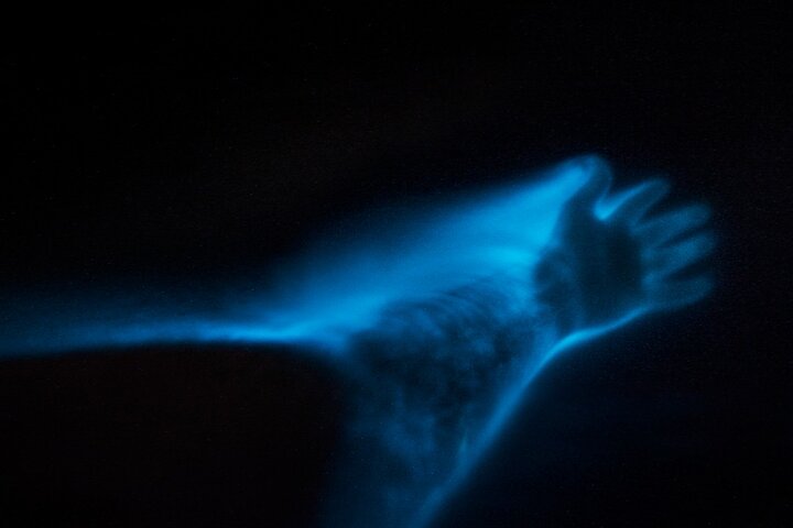 Bioluminescence Clear Kayak & Paddleboard Tour – Near Orlando